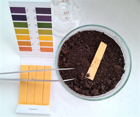 How To Make Soil Acidic For Acid-Loving Plants | Gardening Know How
