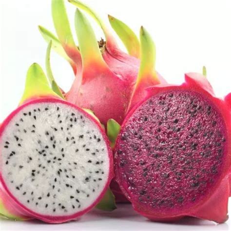 Muda De Pitaya Pitaia Branca E Roxa Kit Muda Brinde