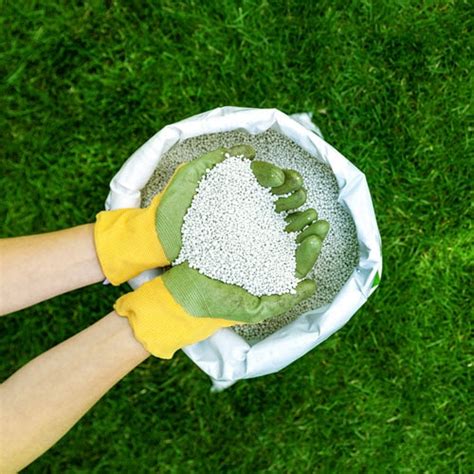 DIY Lawn Care Products (my favorite products & tools for lawn care)