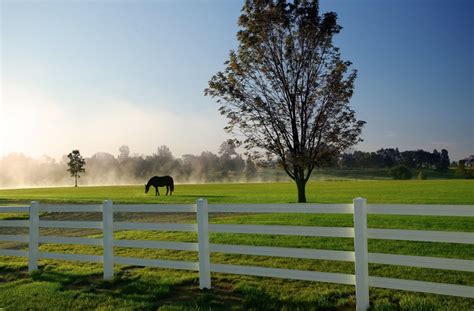 Save on Beautiful Fencing from RAMM Fence - STABLE STYLE