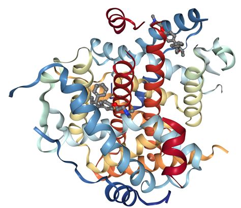 Er Alpha Protein Overview Sino Biological