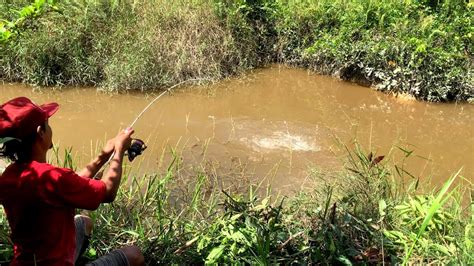 Sepertinya Nggak Ada Pemancing Lain Yang Mancing Di Spot Ini Ikan Besar