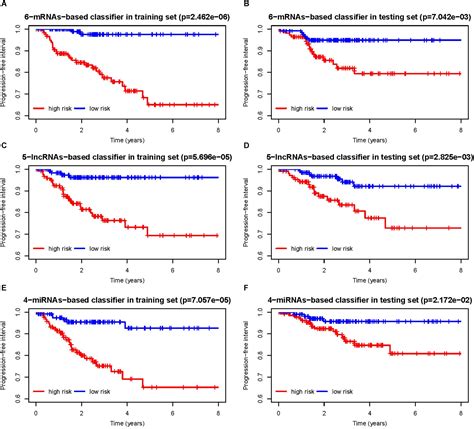 Frontiers Prognostic Lncrna Mirna And Mrna Signatures In Papillary