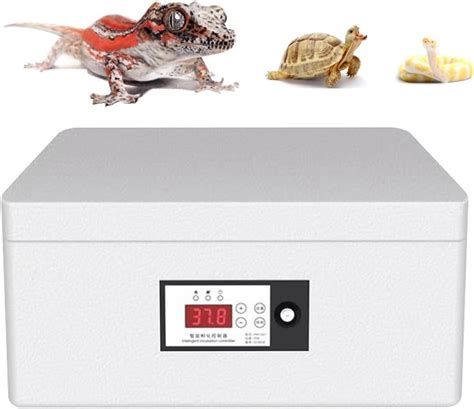 Automatic Reptile Egg Incubator For Lizard Gecko Snakes Temperature