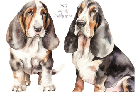 Basset Hound Clipart By An Kle TheHungryJPEG