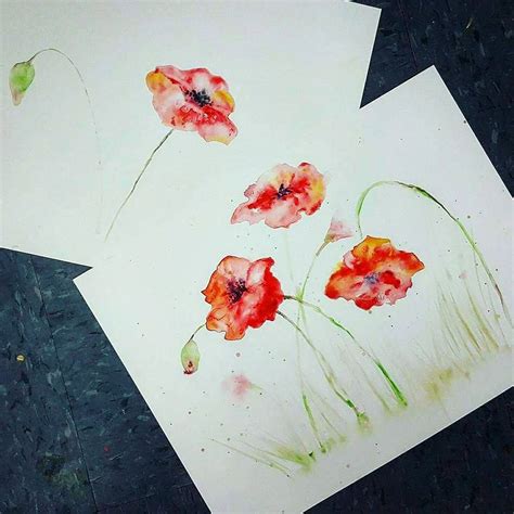 Poppy Watercolor Tutorial