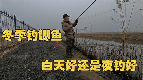 冬釣冬釣，夜金真人比白天好嗎，據說上的又大又多【湖庫釣魚老孫】钓鱼 Youtube