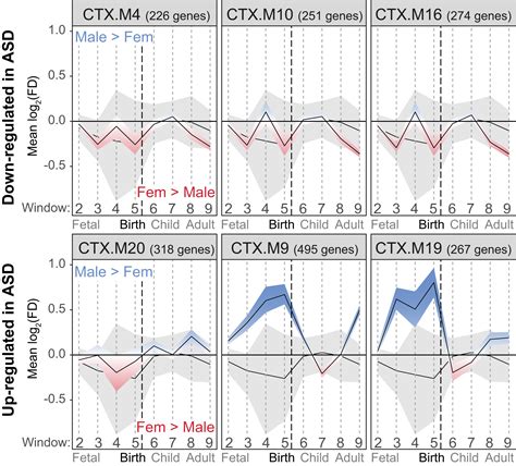 Neural Transcriptomic Analysis Of Sex Differences In Autism Spectrum Disorder Current Insights