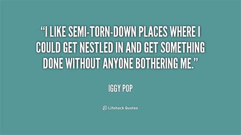 Iggy Pop Quotes. QuotesGram