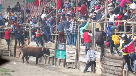 Tragedia en Píllaro joven muere tras ser embestido por un toro durante