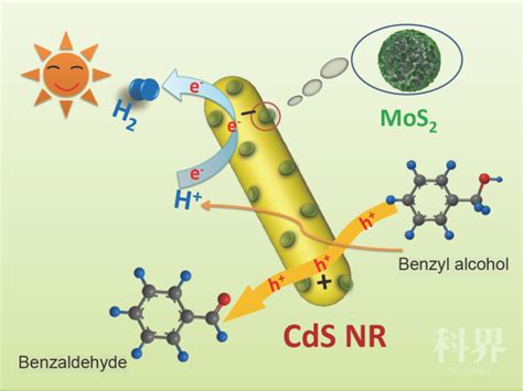 Cdsmos2异质结催化剂可见光光催化产氢和选择性氧化苯甲醇的耦合反应科创中国