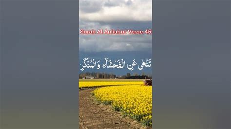 Surah Al Ankabut Ayat 45 Surah Short Youtube