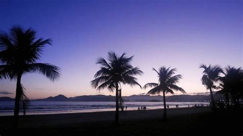 Conhe A A Praia Do Gonzaga O Que Fazer E Curiosidades