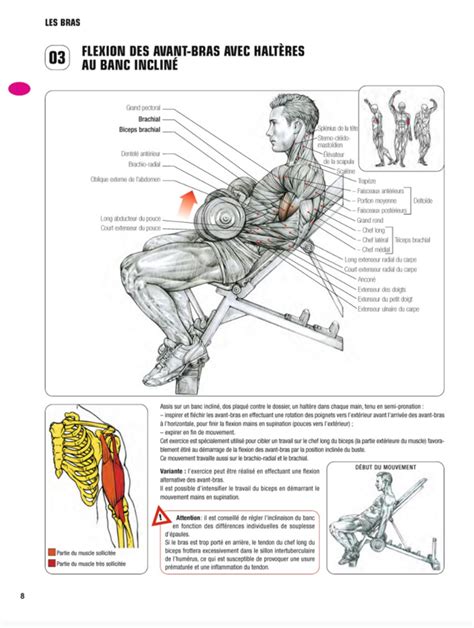 Guide des mouvements de musculation de Frédéric Delavier Réussir son