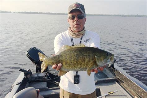 Wisconsin’s Superior Smallmouth Bass Ashland’s Chequamegon Bay Dream Come True For Bass Anglers