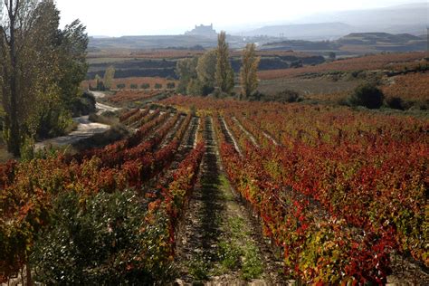 Bodegas De La Ruta Del Vino De Rioja Alavesa