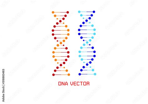 Dna Spiral Adn Helix Structure Genomic Model And Human Genetics Code