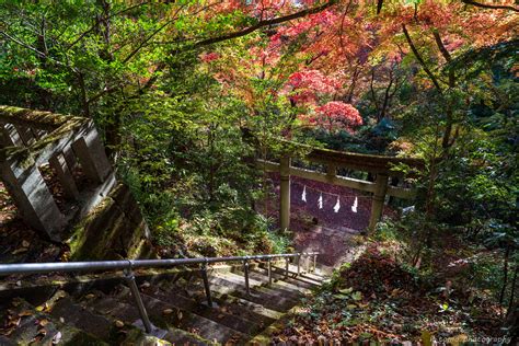 東郷公園 秩父御嶽神社 写真日和