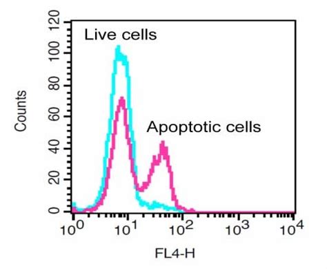 Generic Caspase Activity Assay Kit (Fluorometric - Red) (ab112131) | Abcam