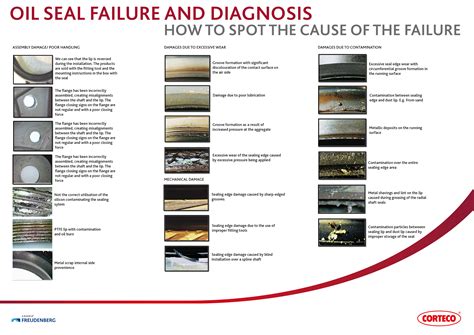 Mechanical Seal Failure Modes At Carol Anderson Blog