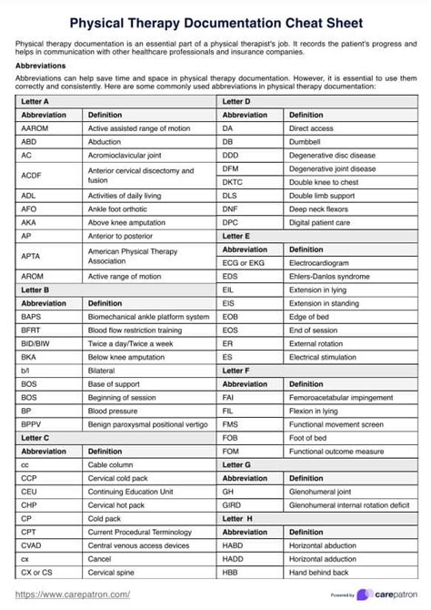 Physical Therapy Documentation Cheat Sheet And Example Free Pdf Download