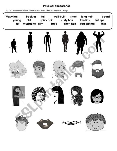 Physical Appearance Vocabulary Esl Worksheet By Athenamendez