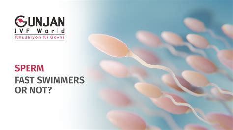 Which Sperm Are Fast Swimmers Male Or Female Gunjan Ivf