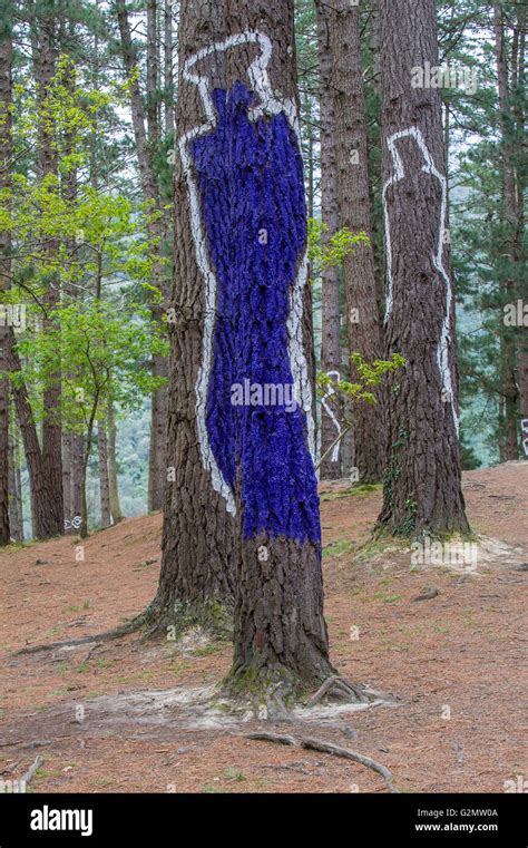 Troncs D Arbres Peints Bois Peint El Bosque Animado De Oma Artiste