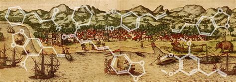 A Mais Antiga Das Especiarias Usada Hoje Também Como Remédio - O papel das especiarias nas Grandes Navegações – parte 1/4: a química ...