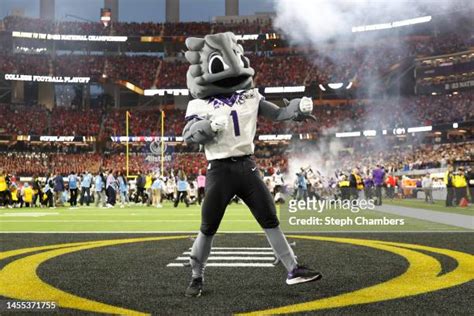 Tcu Super Frog Photos and Premium High Res Pictures - Getty Images