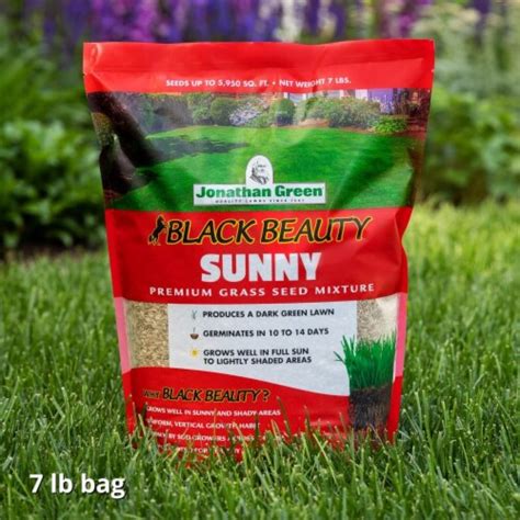 Jonathan Green Black Beauty 7 Lb 2975 Sq Ft Coverage Full Sun Grass Seed 1 King Soopers