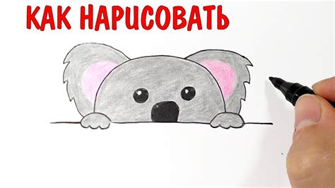 Как нарисовать КОАЛУ мило и просто - YouTube