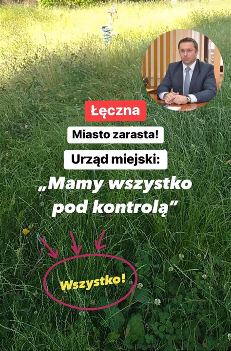 Łęczna Miasto zarasta Urząd miejski Mamy wszystko pod kontrolą