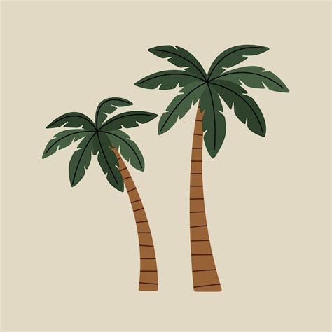 Premium Vector Palm Trees Element In Modern Flat Line Style Hand