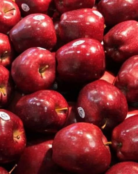 Himachali A Grade Apples Packaging Size Kg Packaging Type Carton