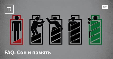 FAQ: Сон и память — все самое интересное на ПостНауке