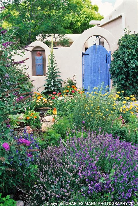 Cottage Garden With Blue Gate Santa Fe Tif Charles Mann Photography