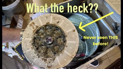 How To Replace Washing Machine Bearings On Bosch Neff