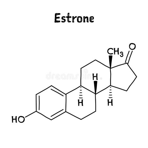 Estrone Structural Formula Of Molecular Structure Stock Illustration