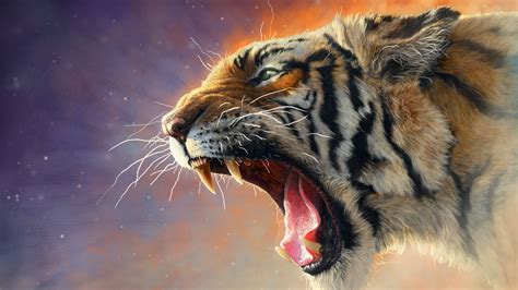 Hd Wallpaper 4k Tiger Tiger Animal 4k Wallpapers Wallpaper Roar Wild Hd ...