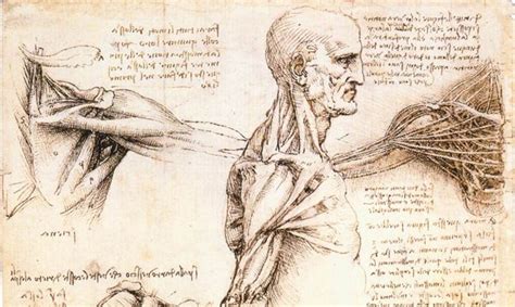 Anatomy professor uses 500-year-old da Vinci drawings to guide cadaver ...