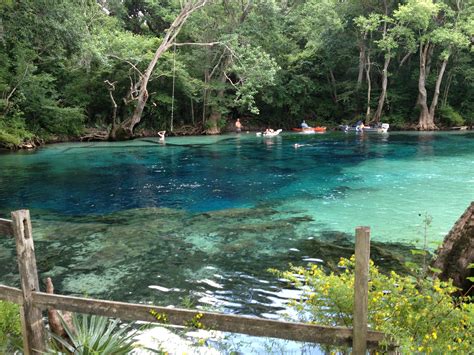 Cypress Springs, Vernon, Florida | Places to travel, Places to visit ...