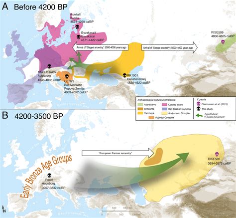 Plague likely a Stone Age arrival to central Europe