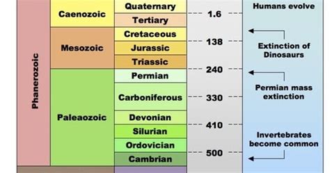 Pengertian Pembabakan Zaman Prasejarah Dan Sejarah Materi Kuliah