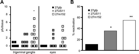 Cd8 T Cell Control Of Hsv Reactivation From Latency Is Abrogated By