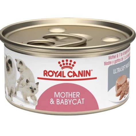 Best Adult Cat And Kitten Food Brands According To A Vet Apartment