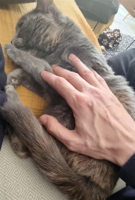 Overview For Sub Bbw