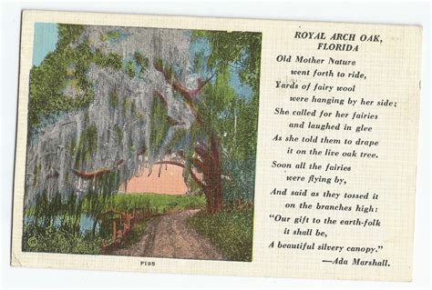 Royal Arch Oak Fl Poem Verse By Ada Marshall Vintage Postcard Ebay