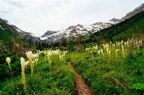 How to Plan a Glacier National Park Camping Trip | Condé Nast Traveler