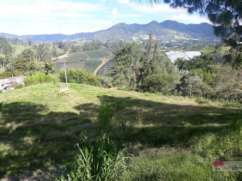 Venta Lote Vereda Quirama Rionegro Cop